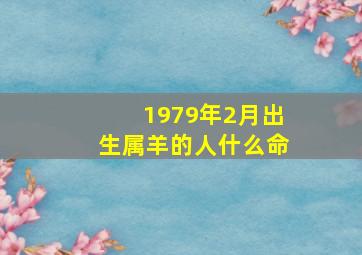 1979年2月出生属羊的人什么命