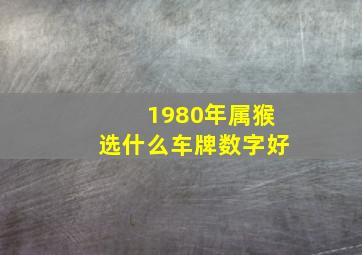 1980年属猴选什么车牌数字好