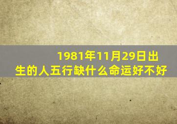 1981年11月29日出生的人五行缺什么命运好不好