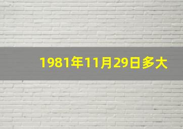 1981年11月29日多大