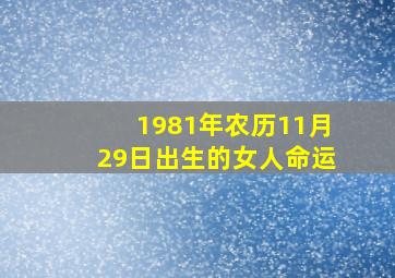 1981年农历11月29日出生的女人命运