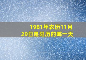 1981年农历11月29日是阳历的哪一天