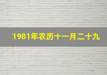 1981年农历十一月二十九