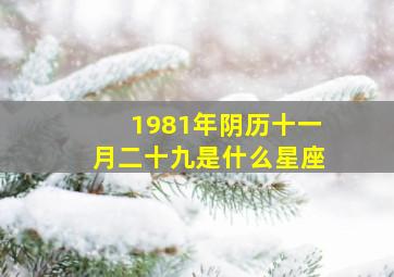 1981年阴历十一月二十九是什么星座