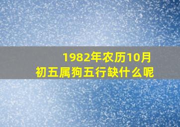 1982年农历10月初五属狗五行缺什么呢