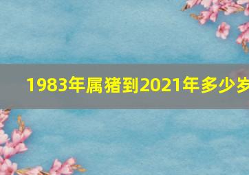 1983年属猪到2021年多少岁