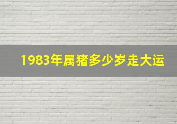 1983年属猪多少岁走大运