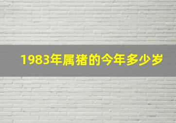 1983年属猪的今年多少岁