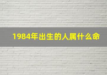 1984年出生的人属什么命