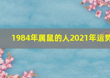 1984年属鼠的人2021年运势