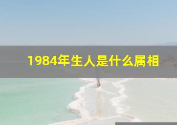 1984年生人是什么属相