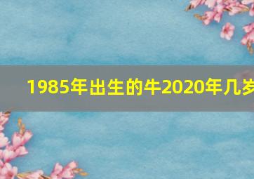 1985年出生的牛2020年几岁