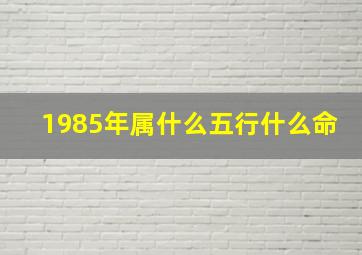 1985年属什么五行什么命