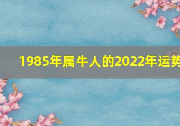 1985年属牛人的2022年运势