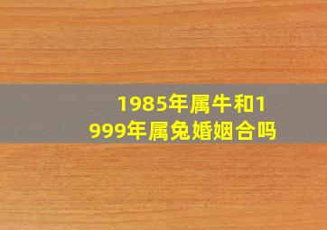 1985年属牛和1999年属兔婚姻合吗