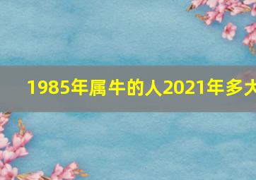 1985年属牛的人2021年多大