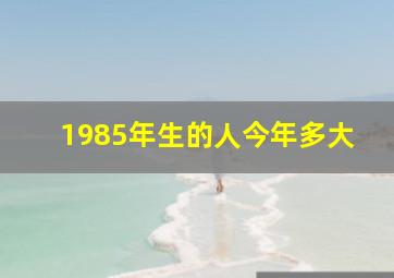 1985年生的人今年多大