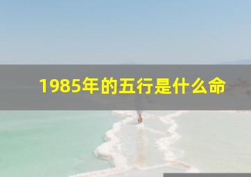 1985年的五行是什么命