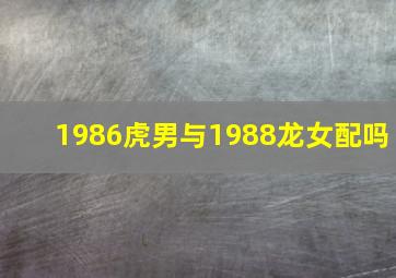 1986虎男与1988龙女配吗