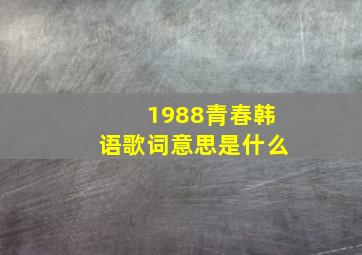 1988青春韩语歌词意思是什么