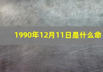 1990年12月11日是什么命