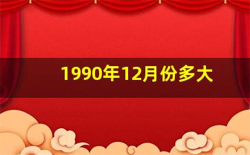 1990年12月份多大