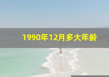 1990年12月多大年龄