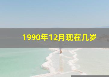 1990年12月现在几岁