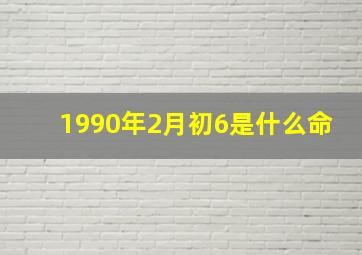 1990年2月初6是什么命