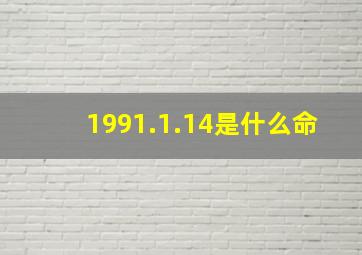 1991.1.14是什么命