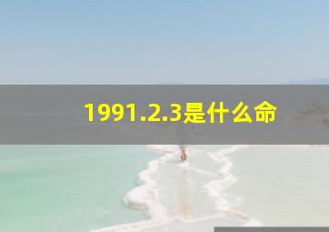 1991.2.3是什么命