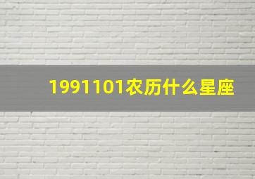 1991101农历什么星座