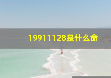 19911128是什么命