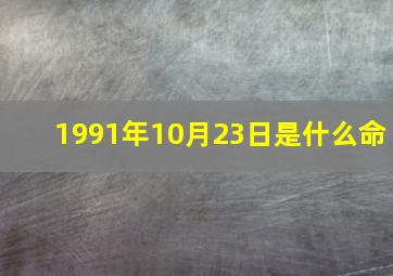 1991年10月23日是什么命