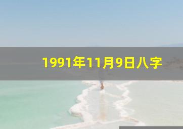 1991年11月9日八字