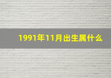 1991年11月出生属什么