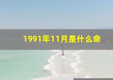 1991年11月是什么命