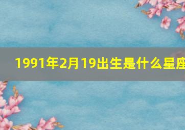 1991年2月19出生是什么星座