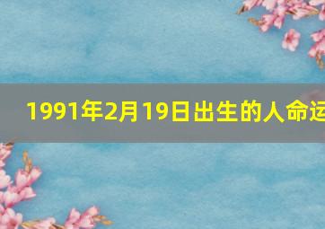 1991年2月19日出生的人命运