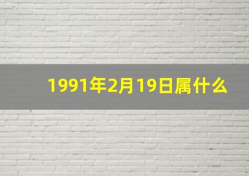 1991年2月19日属什么