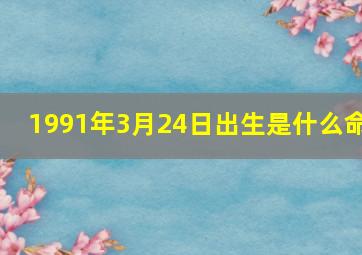 1991年3月24日出生是什么命