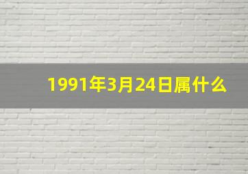 1991年3月24日属什么