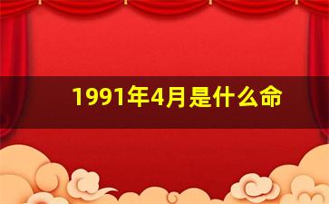 1991年4月是什么命