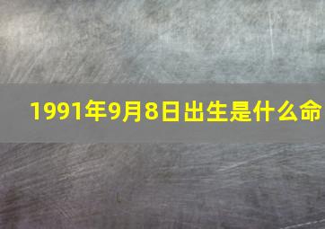 1991年9月8日出生是什么命