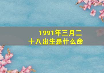 1991年三月二十八出生是什么命