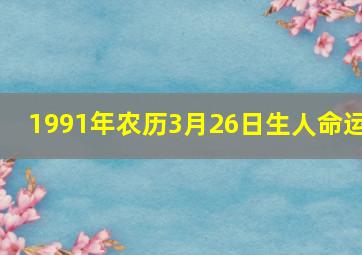 1991年农历3月26日生人命运