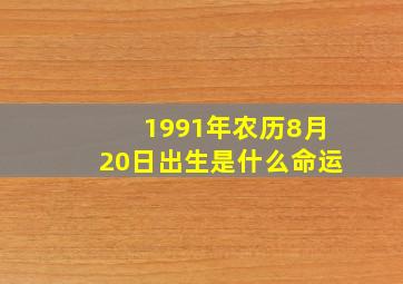 1991年农历8月20日出生是什么命运