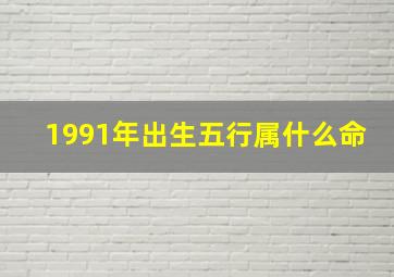 1991年出生五行属什么命