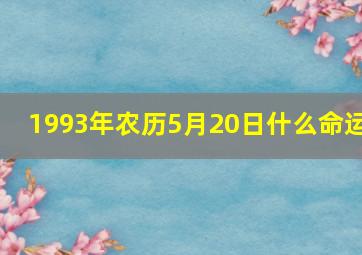 1993年农历5月20日什么命运