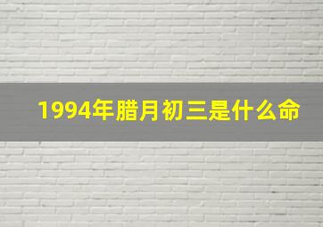 1994年腊月初三是什么命